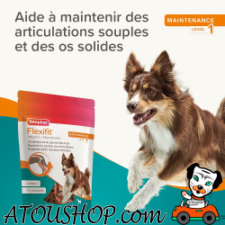 (hors stock Destock VENDU)  👉️ Flexifit® 1, Articulations LEVEL 1 Friandises pour chien - 150g BEAPHAR