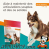 (hors stock Destock VENDU)  👉️ Flexifit® 1, Articulations LEVEL 1 Friandises pour chien - 150g BEAPHAR