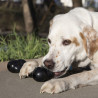 jouet à mâcher Os KONG Extrême Goodie Bone  21.5 cm