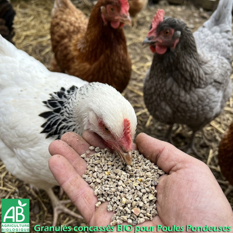 Miettes Cocottes BIO BEYNEL – aliment biologique complet pour poules pondeuses en granulés émiettés