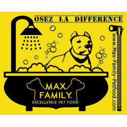 Serviette 30x45cm Absorbante en Microfibre MAX FAMILY