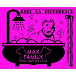 Serviette 30x45cm Absorbante en Microfibre MAX FAMILY