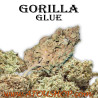 Gorilla Glue - CBD Pas cher