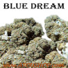 Blue Dream - CBD pas cher