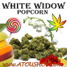 White Widow Popcorn - CBD Pas cher