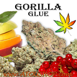 Gorilla Glue - CBD Pas cher