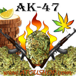 AK-47 - CBD Pas cher