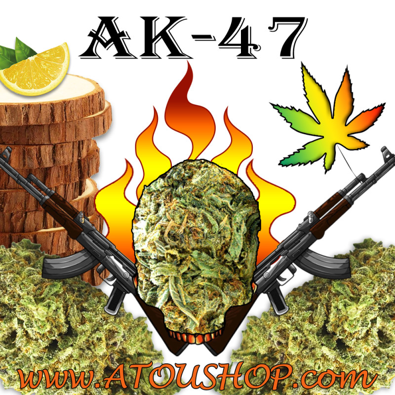 AK-47 - CBD Premium Pas cher