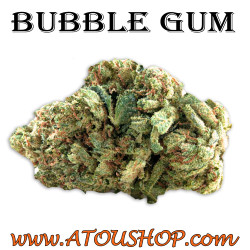 Bubble Gum - CBD Premium Pas cher