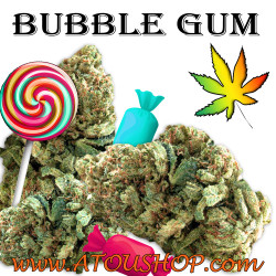 Bubble Gum - CBD Premium...