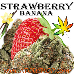 Strawberry Banana - CBD...