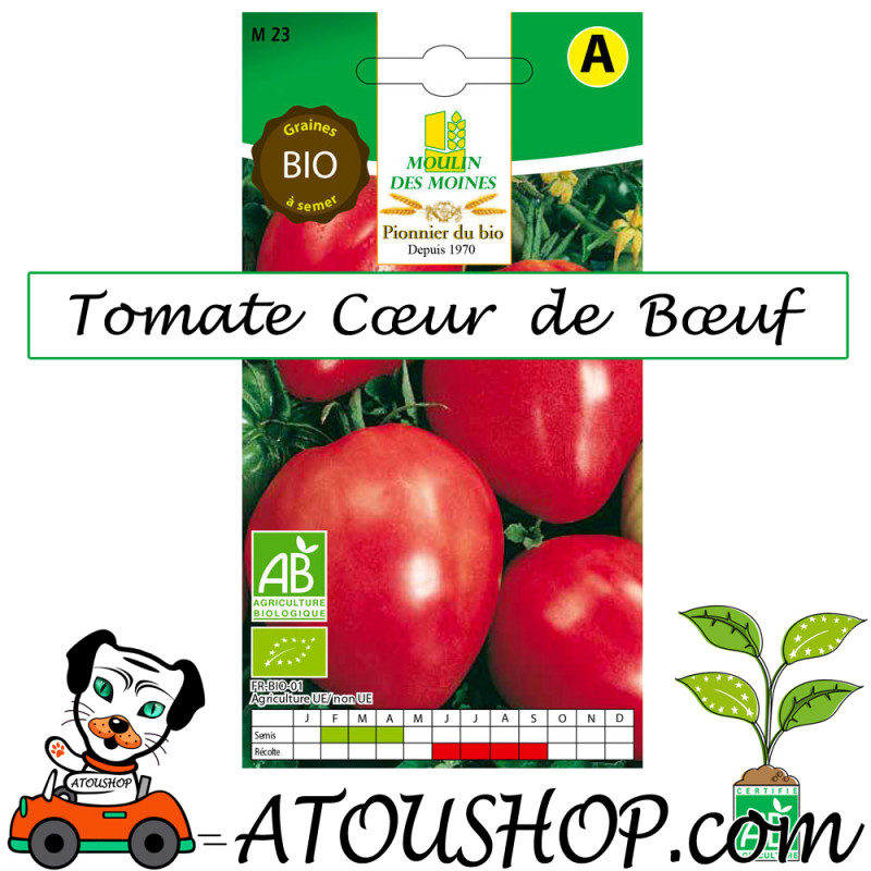Tomate Coeur de Boeuf SEMENCES BIO Moulin des Moines