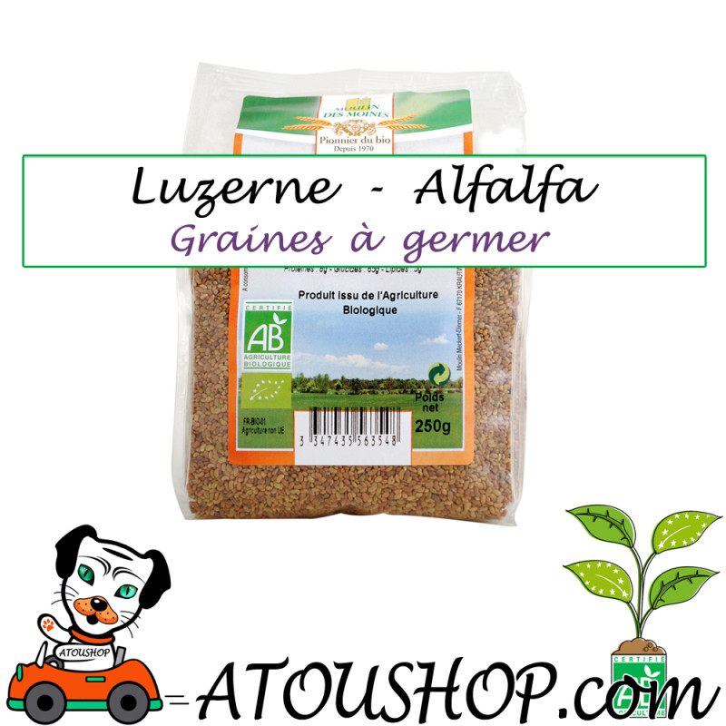 Luzerne Alfalfa GRAINES A GERMER BIO Moulin des Moines