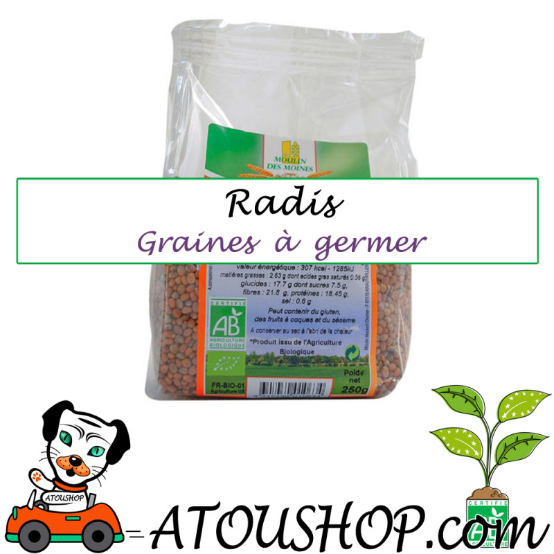Radis GRAINES A GERMER BIO Moulin des Moines